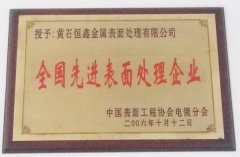 全國先進表麵處理企業